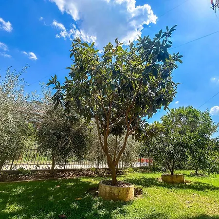 Shoreline Star G77 Apartman Golem